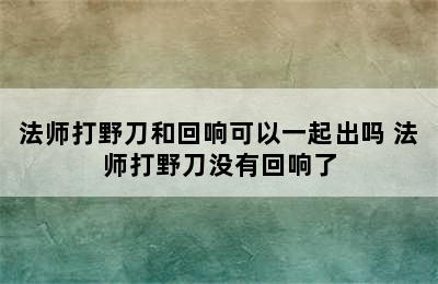 法师打野刀和回响可以一起出吗 法师打野刀没有回响了